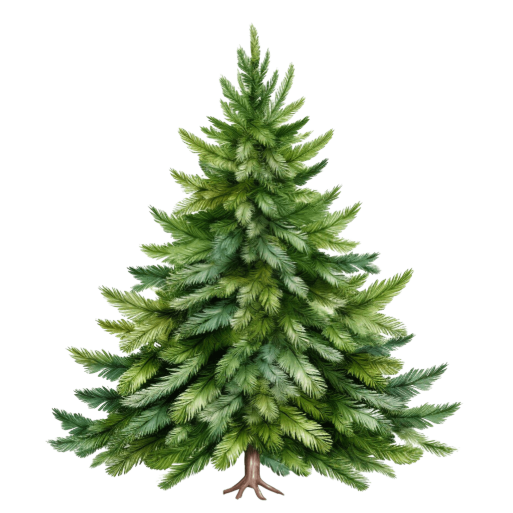 Christmas Tree Clip Art - Free Design Palace